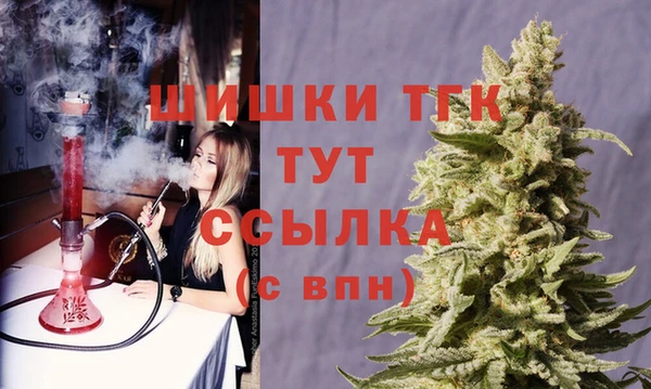 ГАЛЛЮЦИНОГЕННЫЕ ГРИБЫ Арсеньев