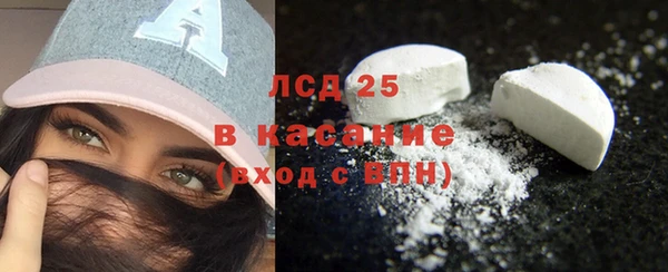 ГАЛЛЮЦИНОГЕННЫЕ ГРИБЫ Арсеньев