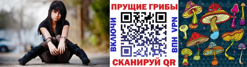 Галлюциногенные грибы GOLDEN TEACHER  наркошоп  Пыталово 