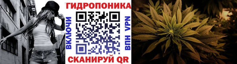 Бошки Шишки AK-47 Пыталово
